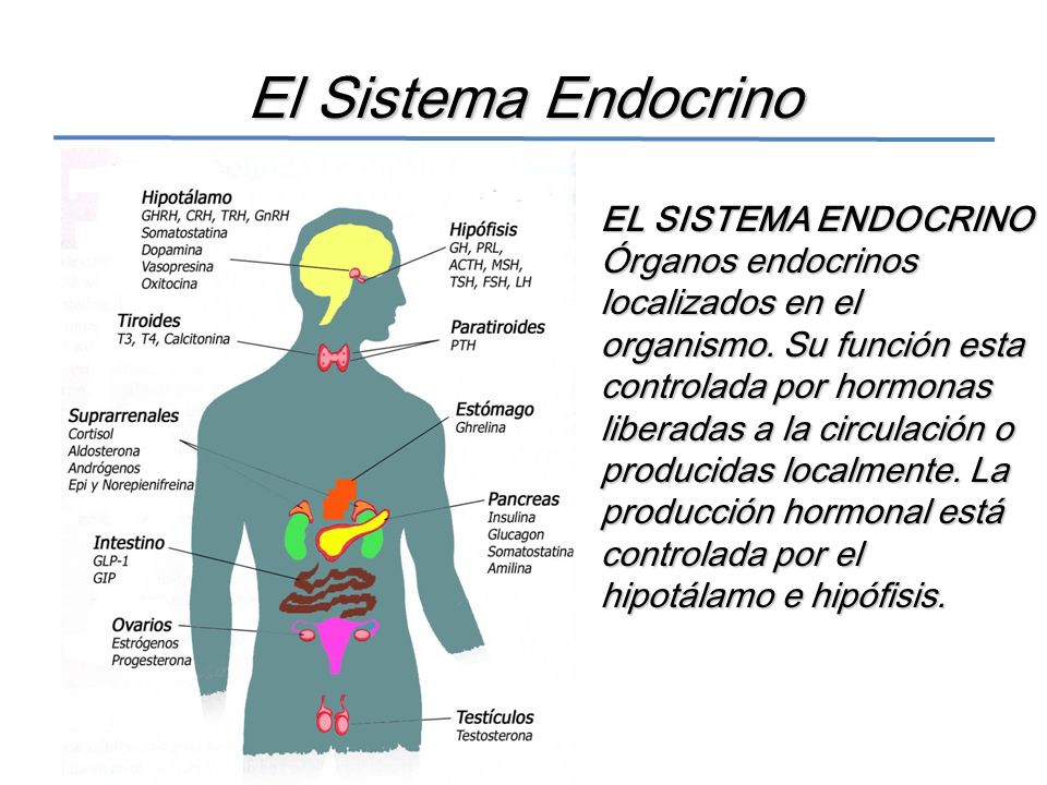 Endocrino gijon cetosis